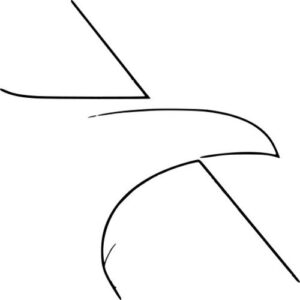 American Airlines 120-Day Platinum Pro Status Challenge 2025